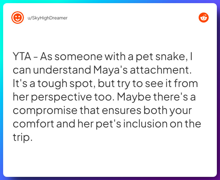 Comment from u/SkyHighDreamer