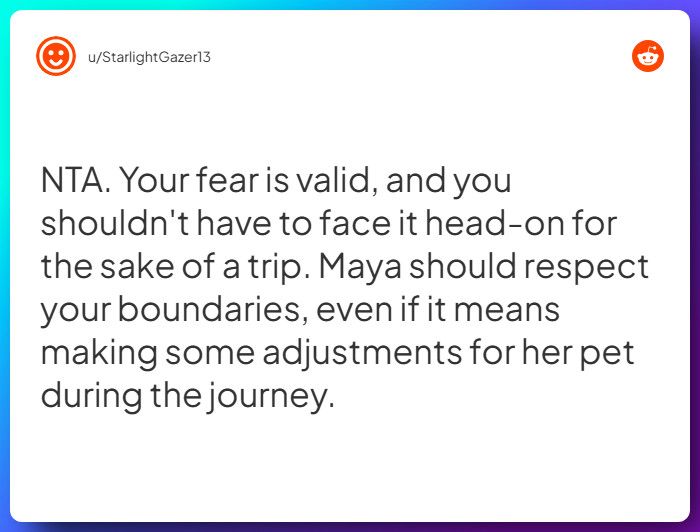 Comment from u/StarlightGazer13