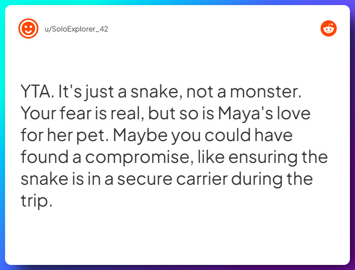 Comment from u/SoloExplorer_42