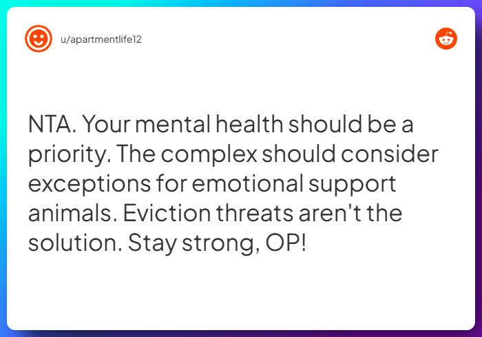 Comment from u/apartmentlife12