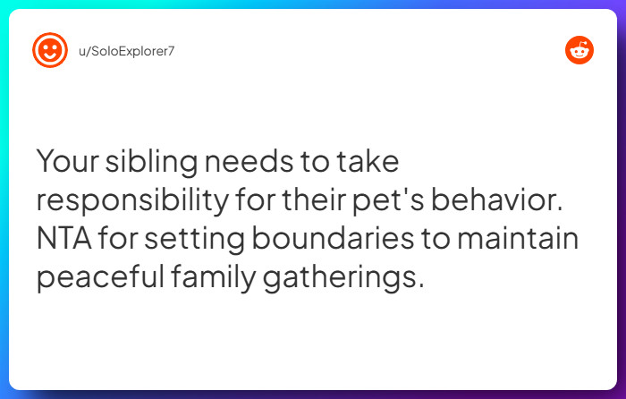 Comment from u/SoloExplorer7