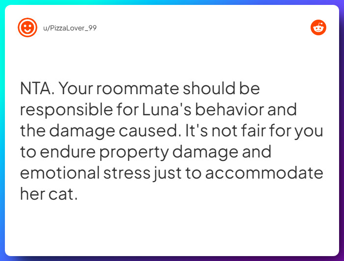 Comment from u/PizzaLover_99