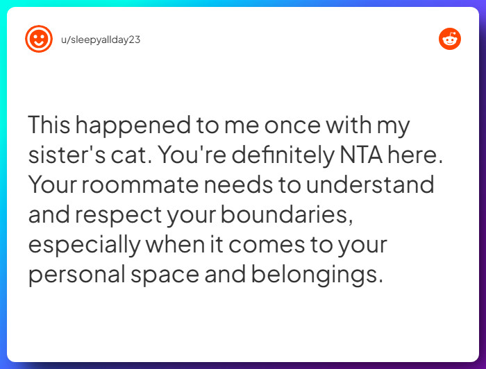 Comment from u/sleepyallday23