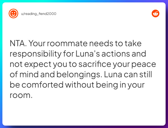 Comment from u/reading_fiend2000