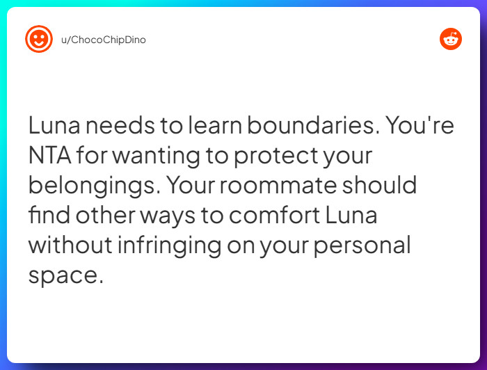 Comment from u/ChocoChipDino