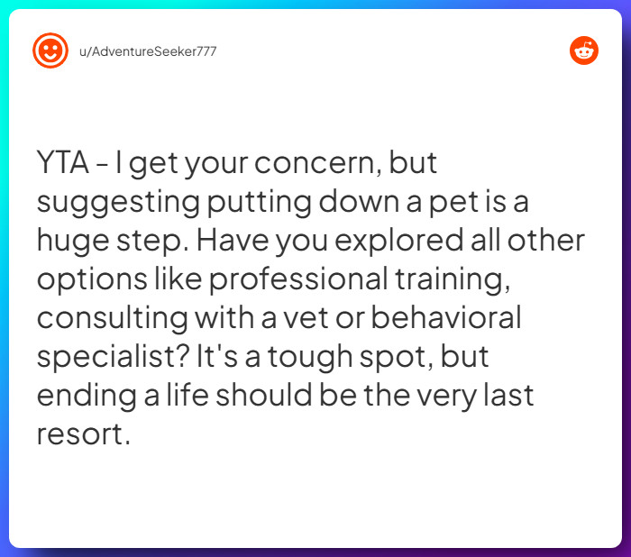 Comment from u/AdventureSeeker777