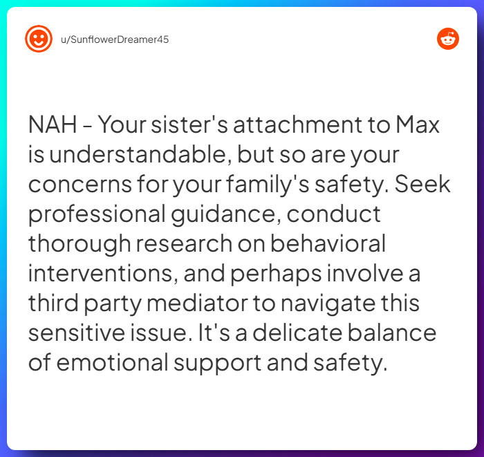 Comment from u/SunflowerDreamer45