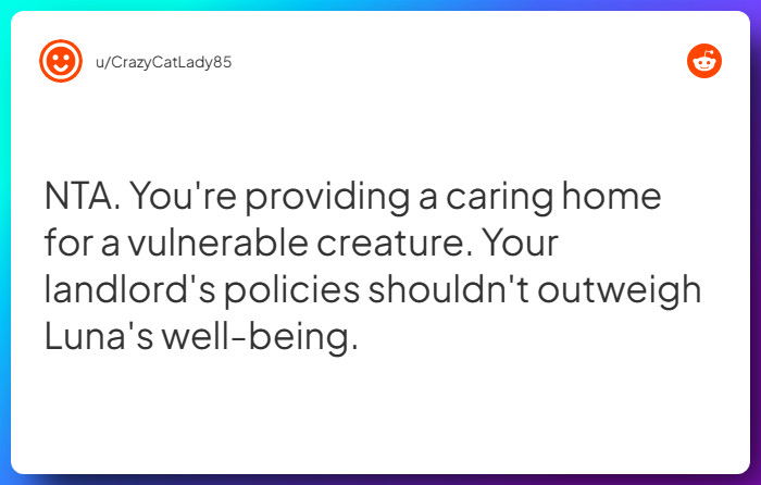 Comment from u/CrazyCatLady85