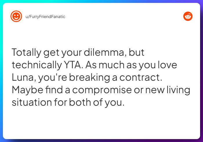 Comment from u/FurryFriendFanatic