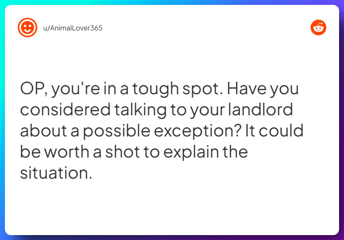 Comment from u/AnimalLover365