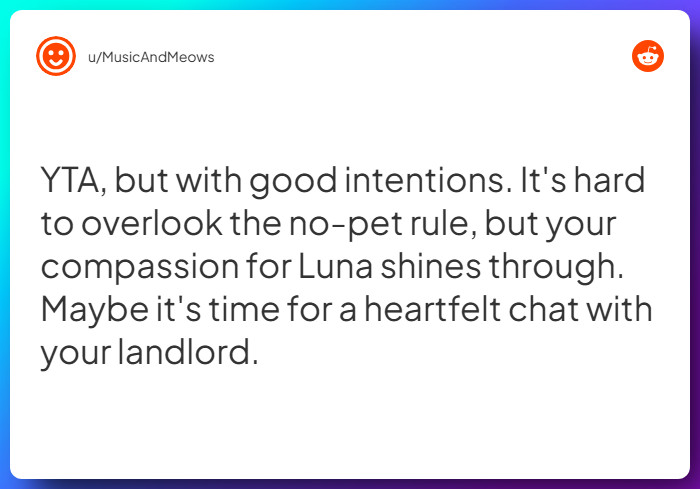 Comment from u/MusicAndMeows