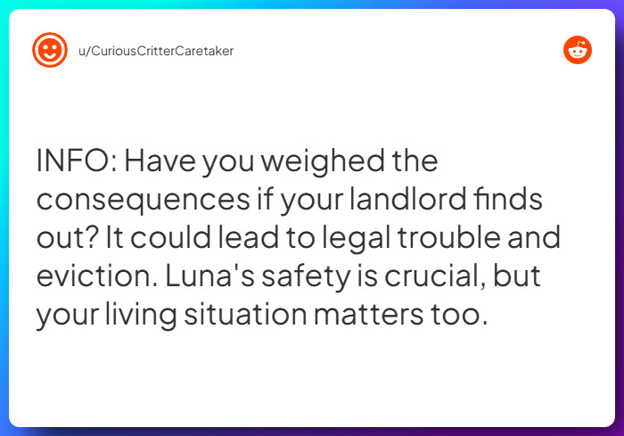 Comment from u/CuriousCritterCaretaker