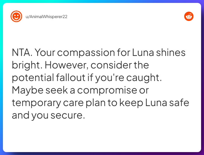 Comment from u/AnimalWhisperer22