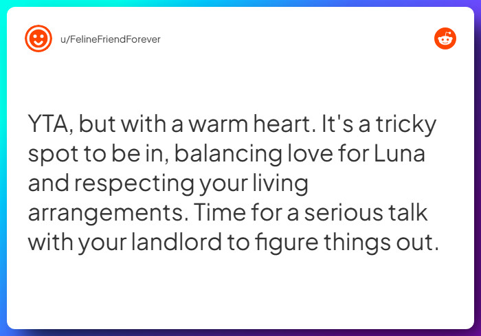 Comment from u/FelineFriendForever