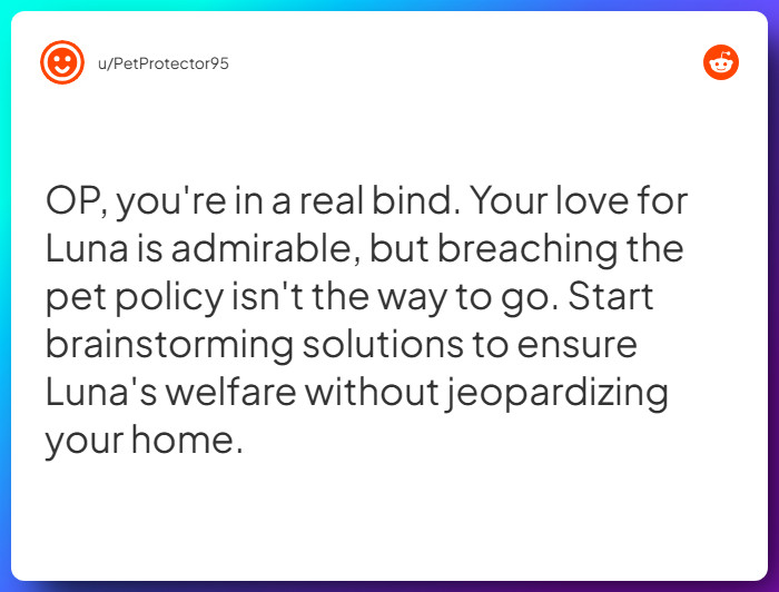 Comment from u/PetProtector95