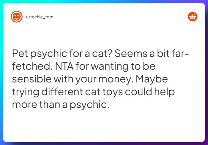 Comment from u/techie_tom