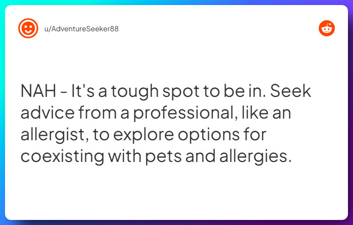 Comment from u/AdventureSeeker88