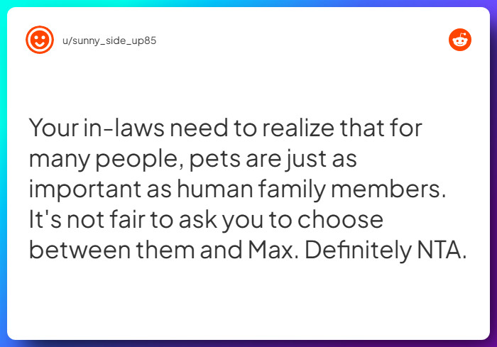 Comment from u/sunny_side_up85