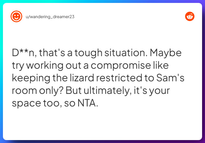 Comment from u/wandering_dreamer23