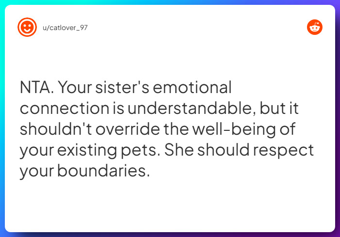 Comment from u/catlover_97