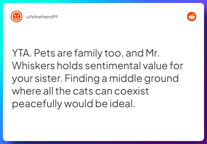 Comment from u/felinefriend99