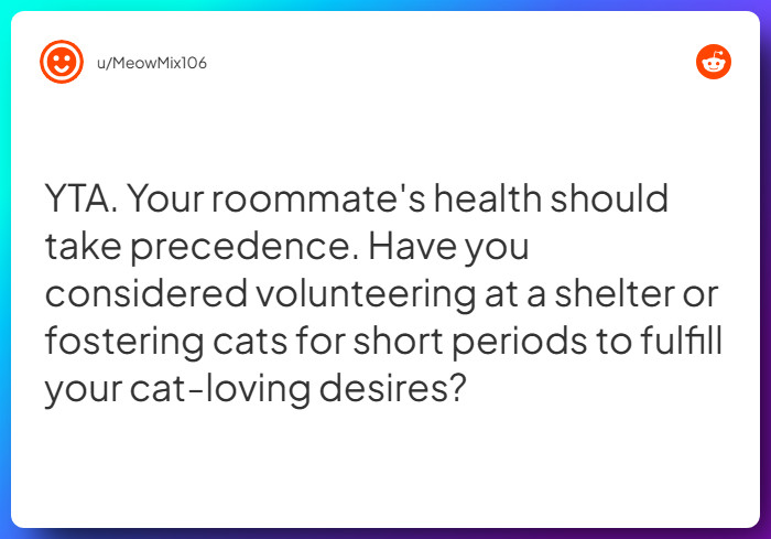 Comment from u/MeowMix106