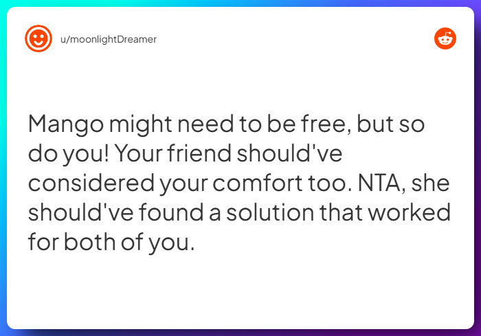 Comment from u/moonlightDreamer