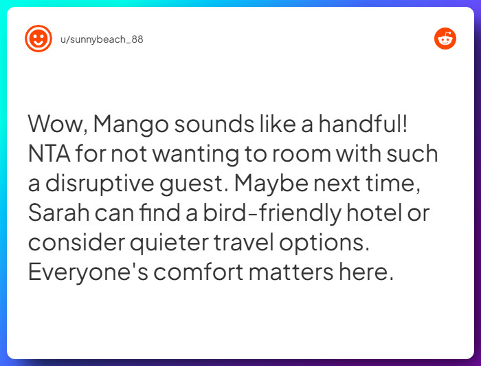 Comment from u/sunnybeach_88