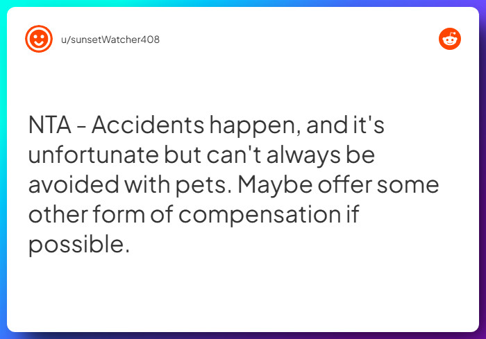 Comment from u/sunsetWatcher408