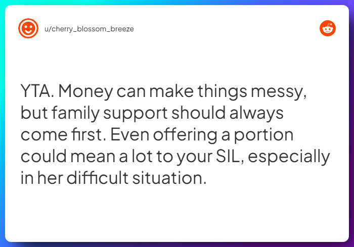 Comment from u/cherry_blossom_breeze