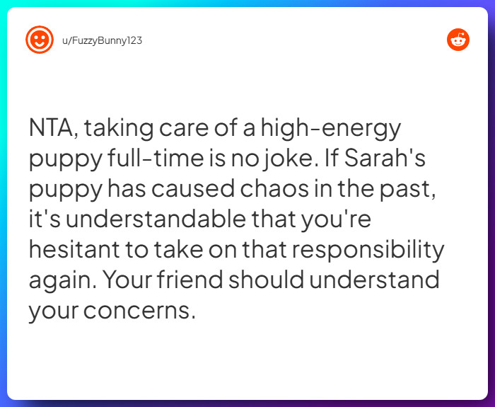 Comment from u/FuzzyBunny123