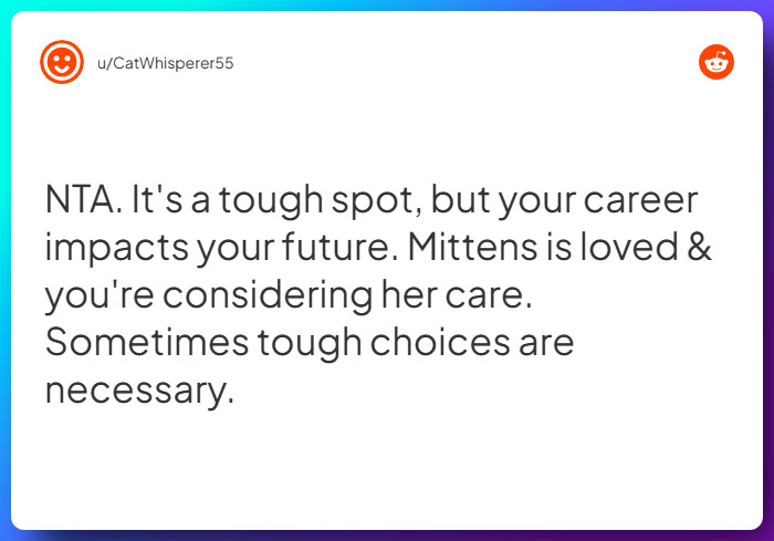 Comment from u/CatWhisperer55