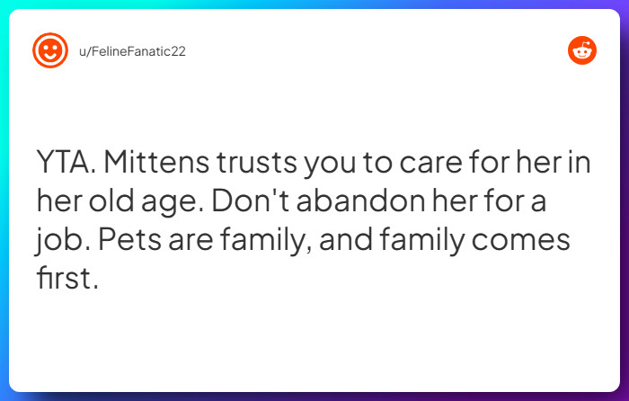 Comment from u/FelineFanatic22