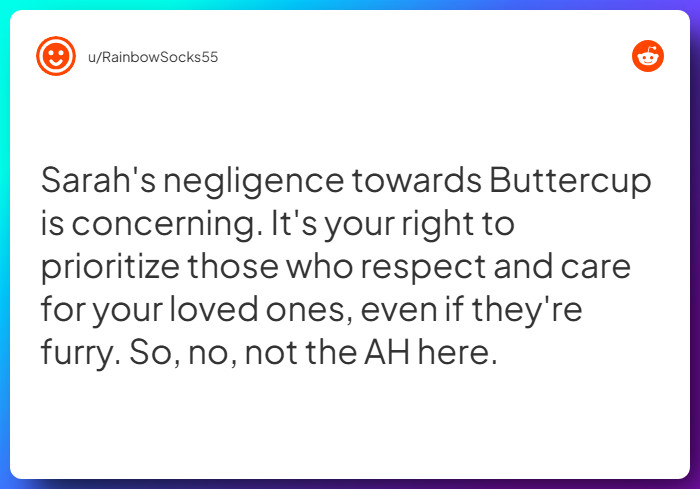 Comment from u/RainbowSocks55