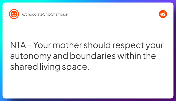 Comment from u/chocolateChipChampion