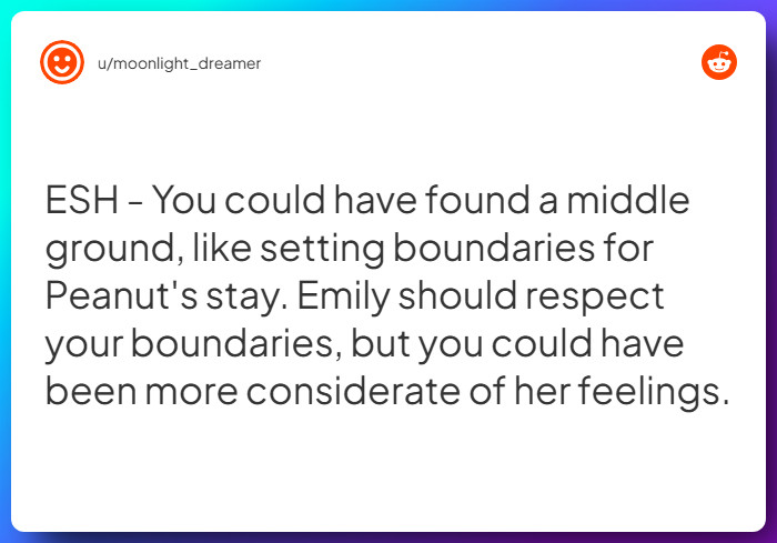 Comment from u/moonlight_dreamer