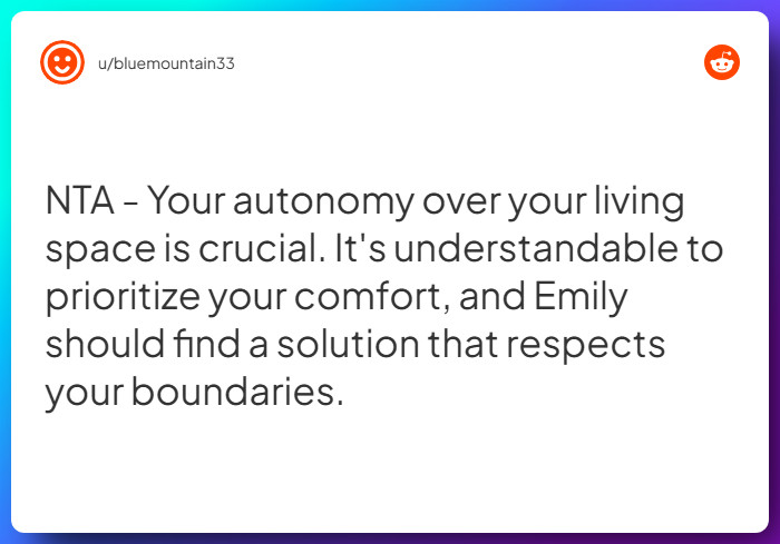 Comment from u/bluemountain33