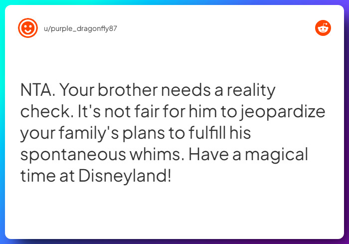 Comment from u/purple_dragonfly87