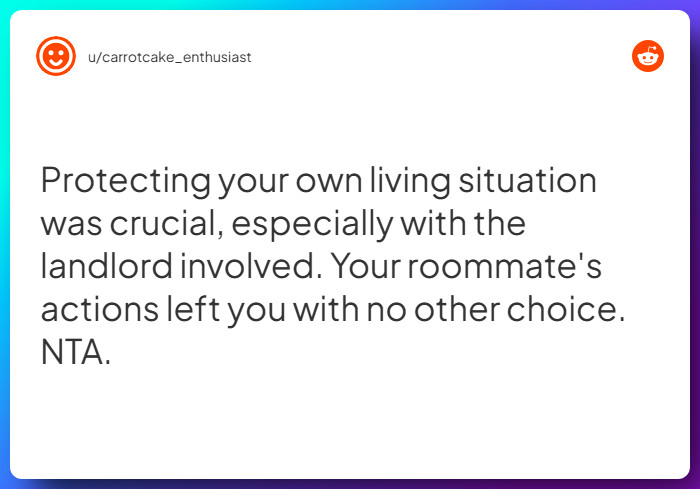 Comment from u/carrotcake_enthusiast