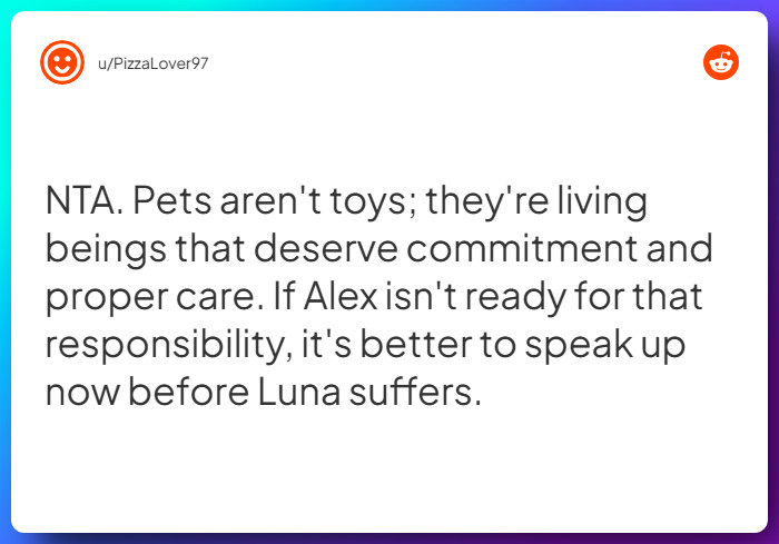 Comment from u/PizzaLover97