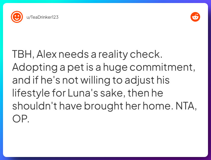 Comment from u/TeaDrinker123