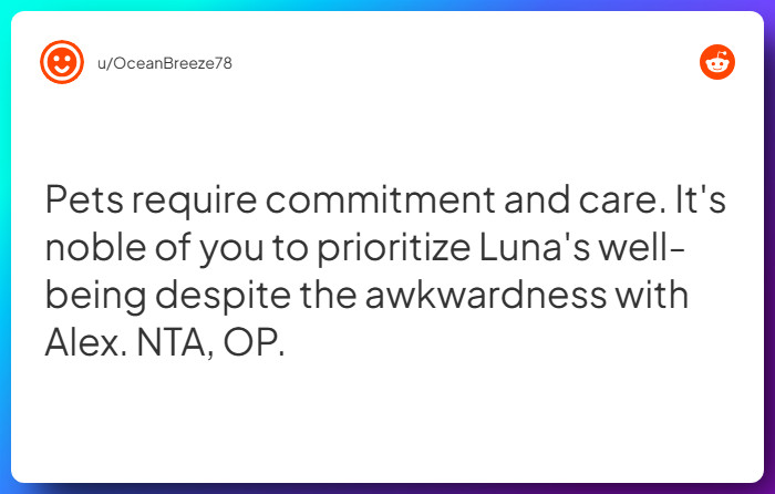 Comment from u/OceanBreeze78