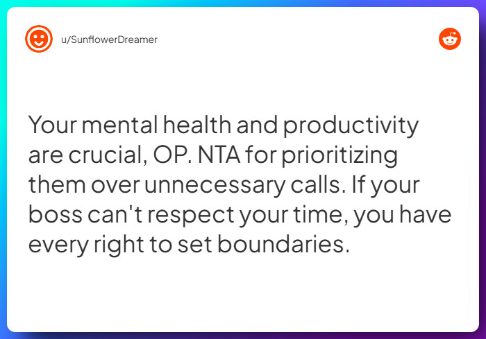 Comment from u/SunflowerDreamer