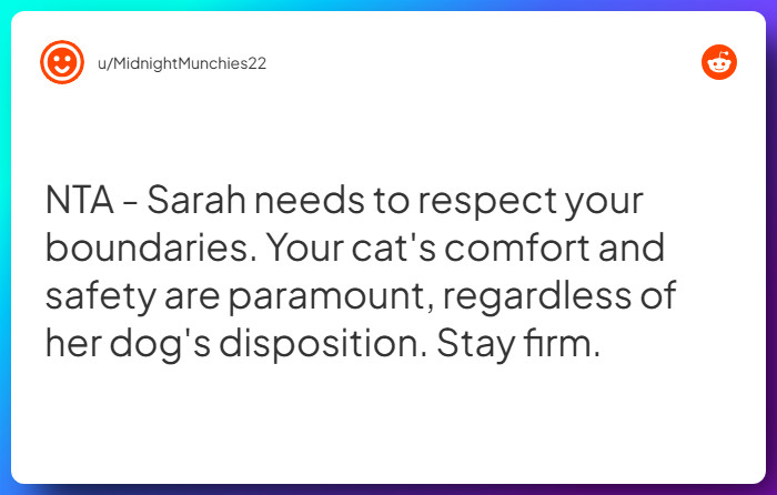 Comment from u/MidnightMunchies22