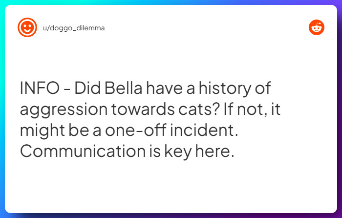 Comment from u/doggo_dilemma