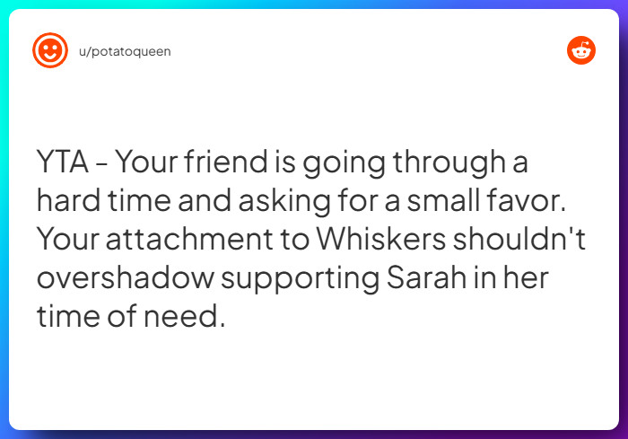 Comment from u/potatoqueen