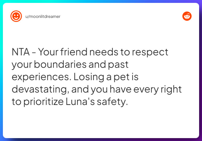 Comment from u/moonlitdreamer