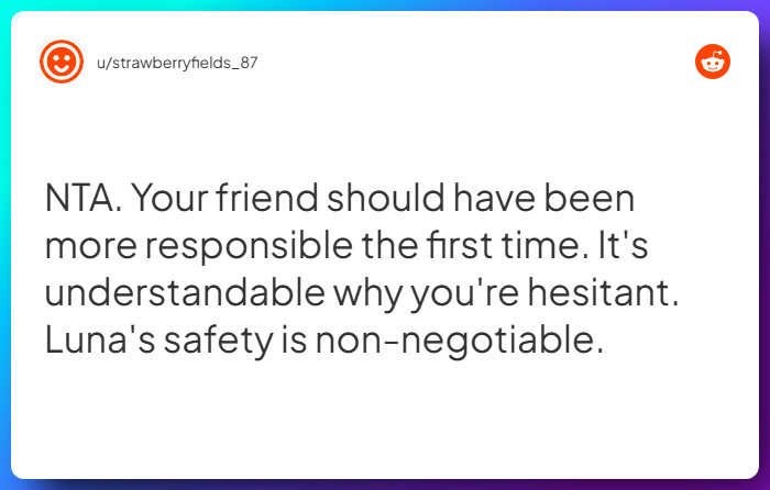 Comment from u/strawberryfields_87