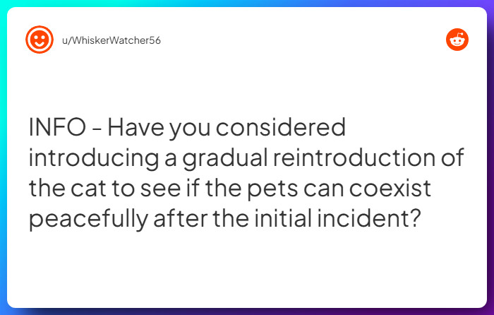 Comment from u/WhiskerWatcher56