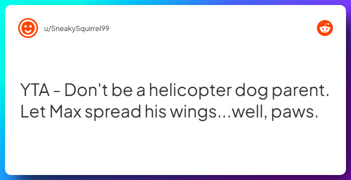 Comment from u/SneakySquirrel99